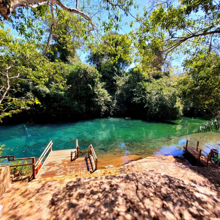 Crystal clear waters of the Rio da Prata, where nature is shown in its purest form. An ideal place for lovers of adventure and natural beauty.