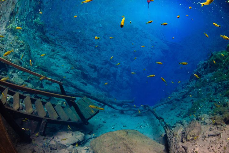 The submerged stairs of Lagoa Misteriosa is one of the ideal places for pictures at the tour.