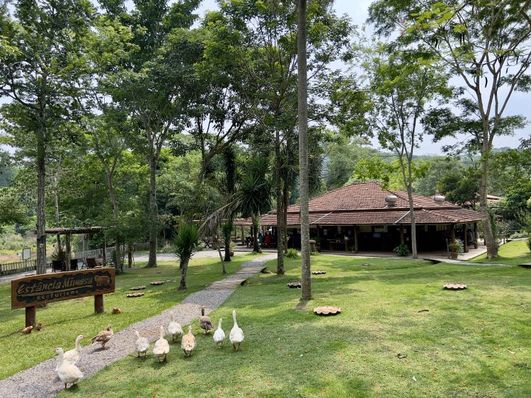 The farm's headquarters is the ideal place to rest after a trip to bathe in the waterfalls, as it has a space with a hammock, a lake with alligators, a pergola and a shop to purchase souvenirs from the trip for the whole family.