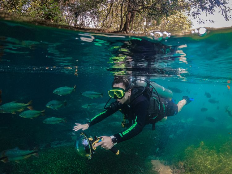 Discover the natural beauty of Recanto Ecológico Rio da Prata during scuba diving.