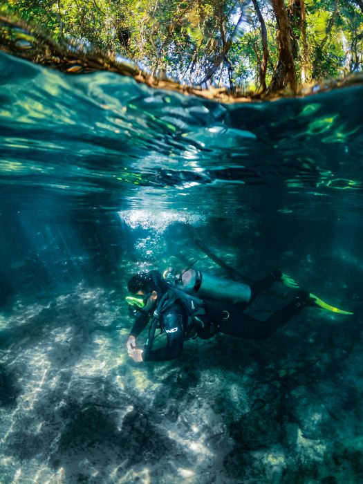 Scuba diving at Recanto Ecológico Rio da Prata is the perfect experience for beginners and experts, accompanied by experienced instructors who guarantee your safety and comfort.