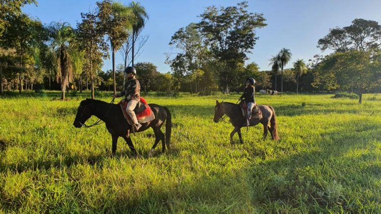 Providing unforgettable moments of contact with nature, tame and trained horses offer all the necessary security for moments of fun and tranquility at Estância Mimosa.