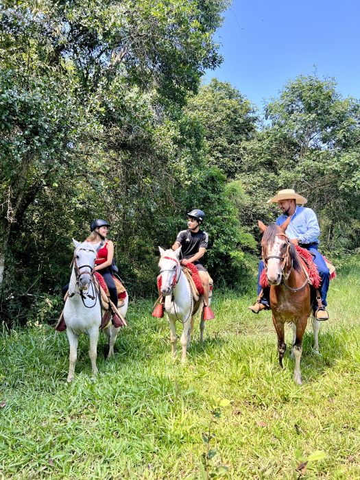 For those who desire a deeper interaction with nature and want to learn more about the local culture, Estância Mimosa (Bonito, MS) offers horseback riding tours through the forests and hills of the region.