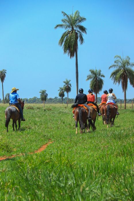 The horseback riding trail is light and safe, perfect for all ages, providing moments of relaxation and connection with nature.