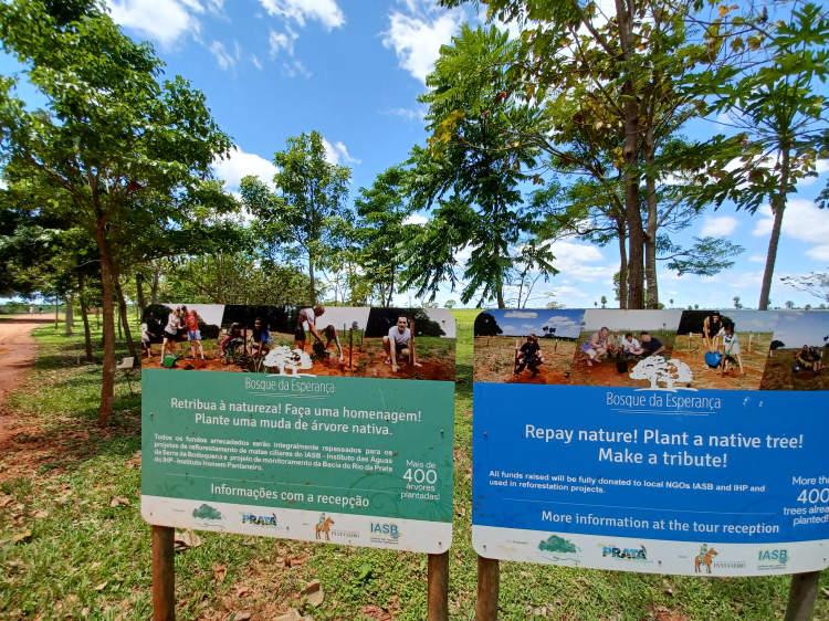 O Bosque da Esperança, no Recanto Ecológico Rio da Prata, é um espaço dedicado à regeneração ambiental e à conexão emocional com a natureza. Formado por mudas nativas plantadas pelos visitantes, simboliza vida, memória e compromisso com a preservação do Cerrado.