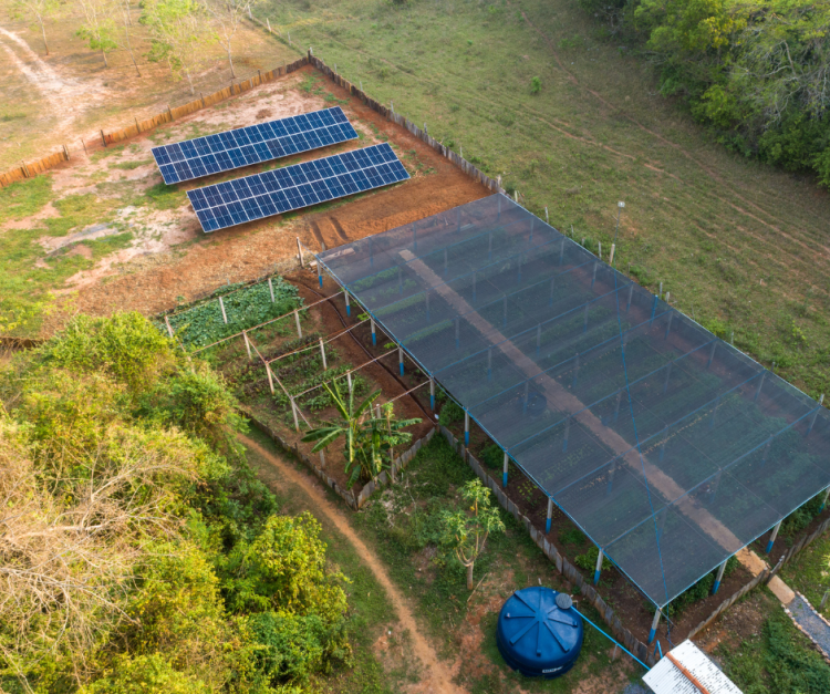 A usina fotovoltaica da Estância Mimosa é um marco no compromisso com a sustentabilidade.