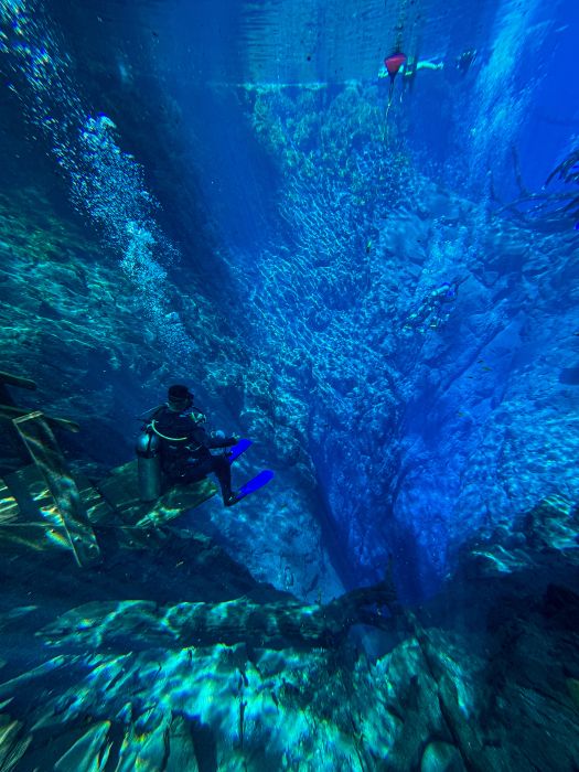 Contemple a beleza surreal da Lagoa Misteriosa! Mergulhador descansa na escada submersa, cercado por águas incrivelmente cristalina. 