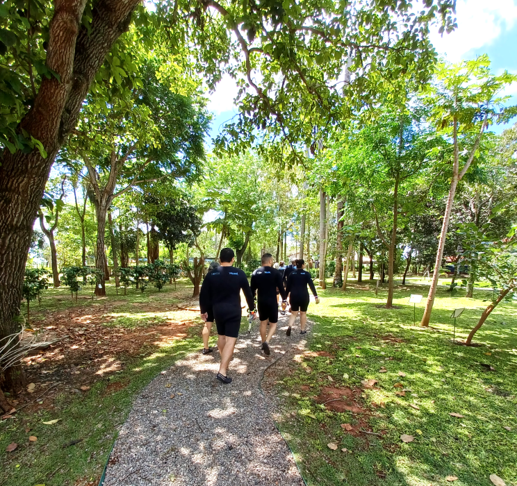 A Trilha da Seriema, no Recanto Ecológico Rio da Prata, leva os visitantes a uma jornada de aprendizado e contemplação. O percurso revela os projetos ambientais do atrativo destacando iniciativas de conservação e sustentabilidade em harmonia com a biodiversidade local.